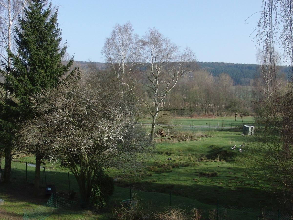 Guesthouse Herriot Springe Exterior photo